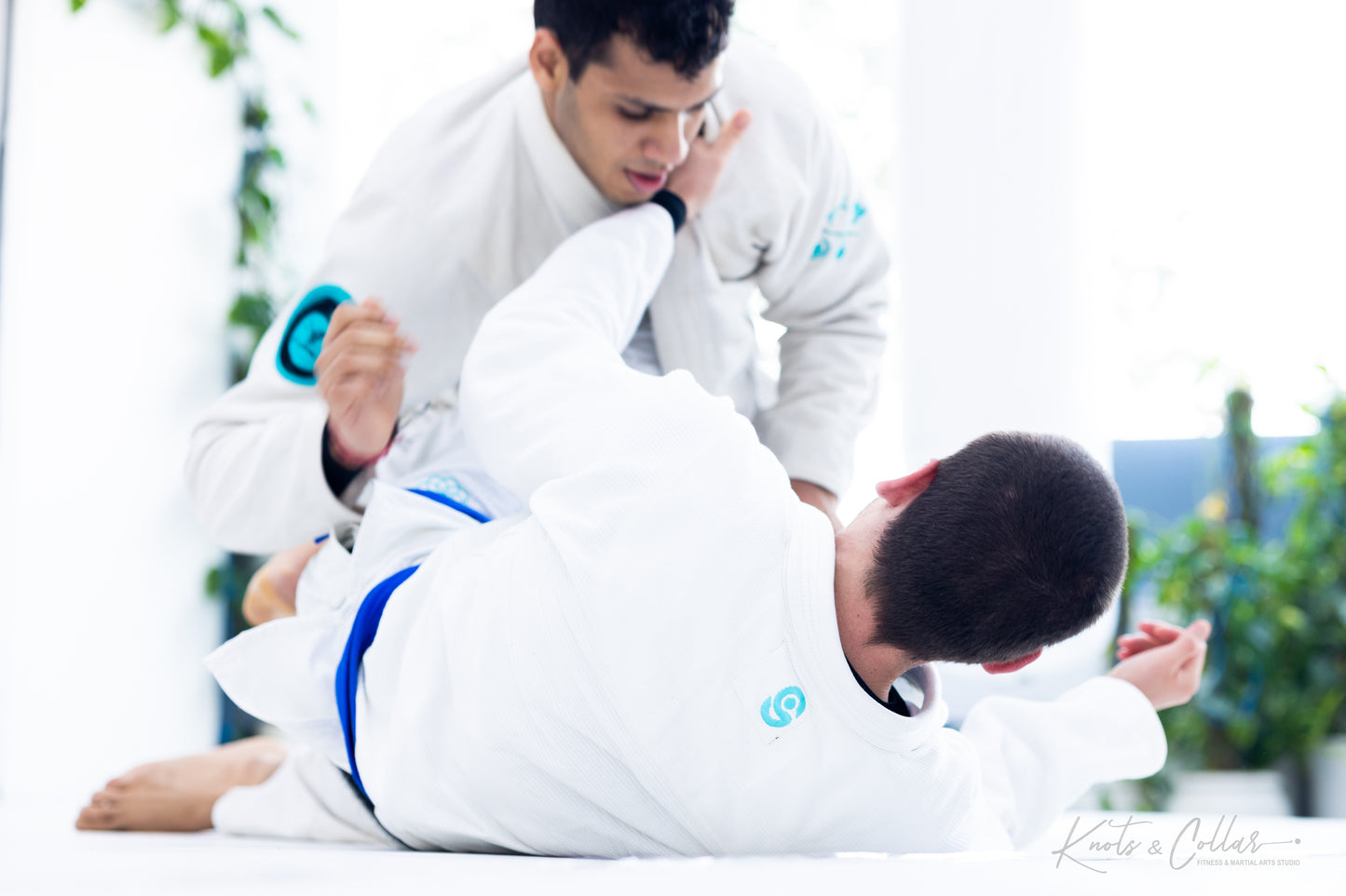 Knots & Collar Minimalist BJJ Gi – From Bharat to the World